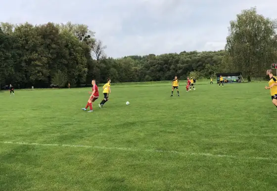 TJ Lokomotiva Louky - TJ Sokol Věřňovice B