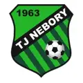 TJ Nebory